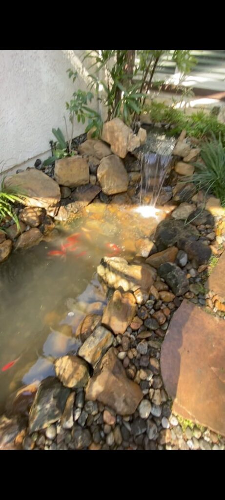 Pond Restoration with Waterfall Installation