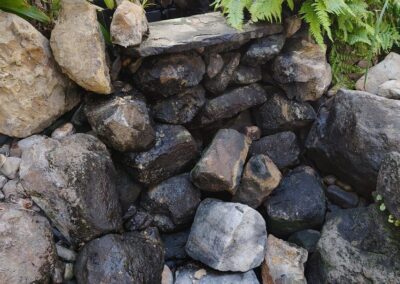 Gallery photos for Pond Restoration with Waterfall Installation: Image #1