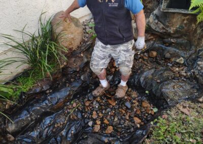 Gallery photos for Pond Restoration with Waterfall Installation: Image #2