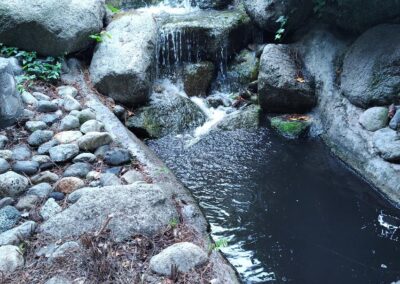 Gallery photos for Pasadena Garden Revitalized with New 3 HP Pump Installation: Image #1