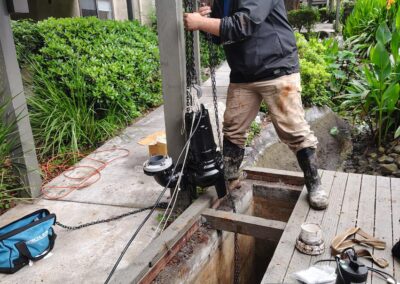 Gallery photos for Pasadena Garden Revitalized with New 3 HP Pump Installation: Image #3
