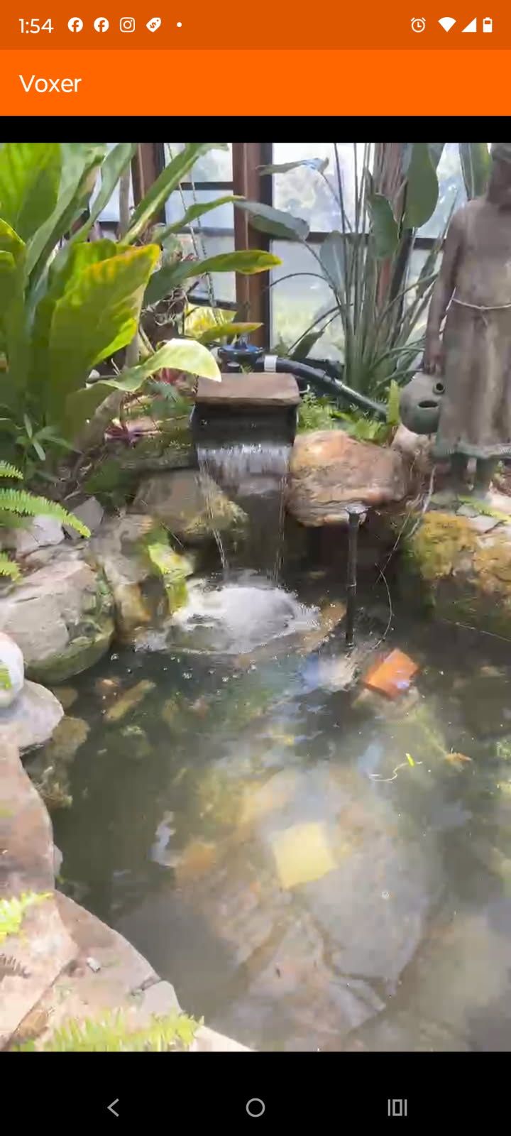 Hollywood Koi Pond Upgrade with Waterfall Hollywood Koi Pond Upgrade with Waterfall