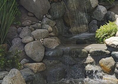 Project Stunning Backyard Pond Transformation image