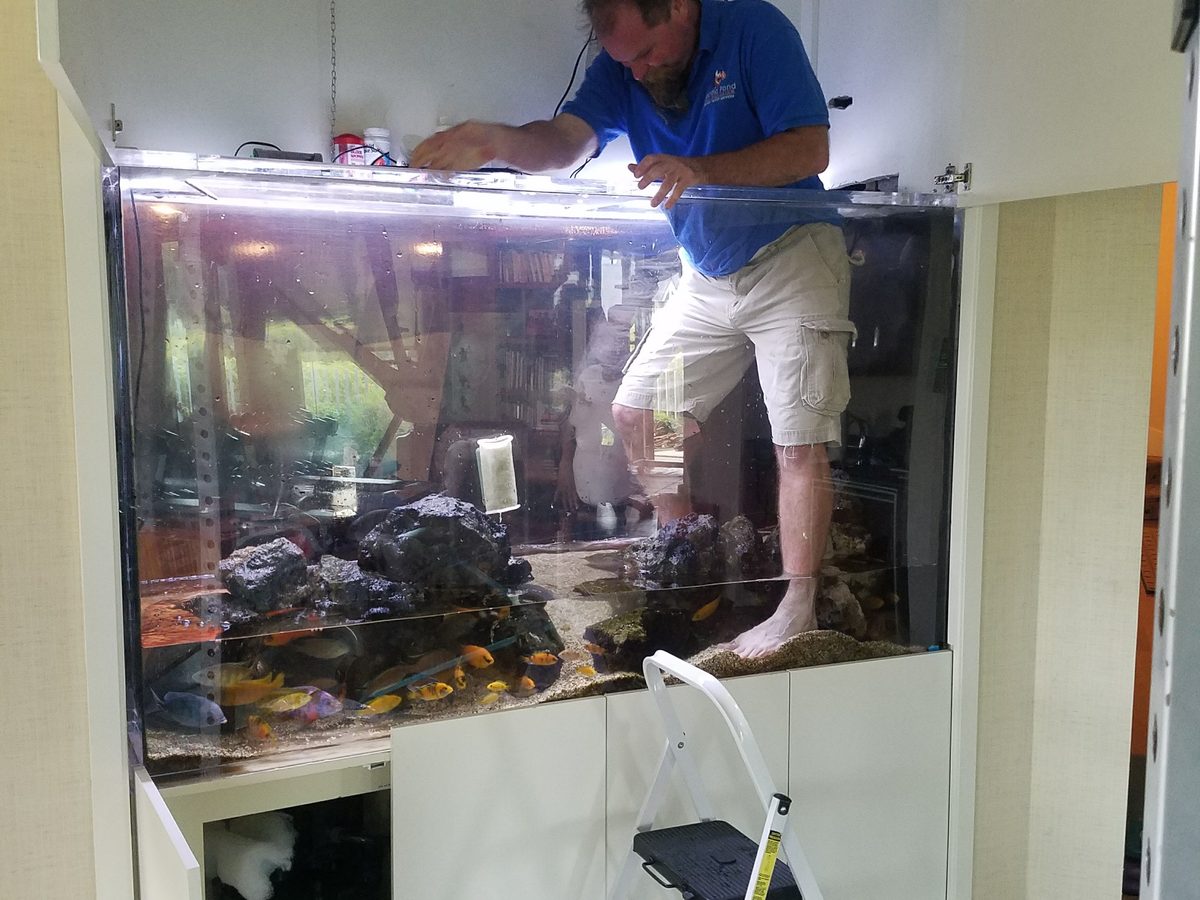 Professional Aquarium Services by Pacific Pond and Aquarium, Pacific Pond and Aquarium