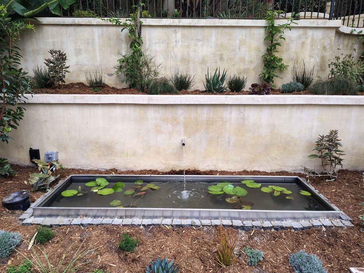 Stainless steel fountain basin with water lilies, built by Pacific Pond and Aquarium