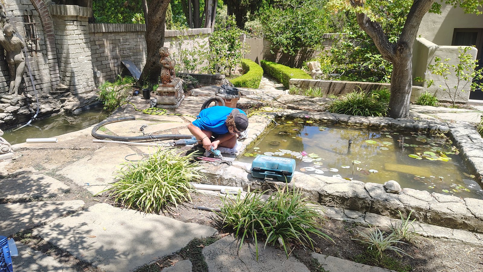 Pond maintenance